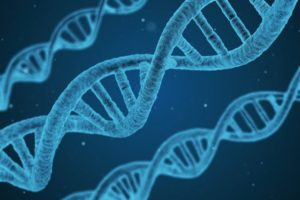 cffdna, wolne płodowe DNA, badania wolnego płodowego dna