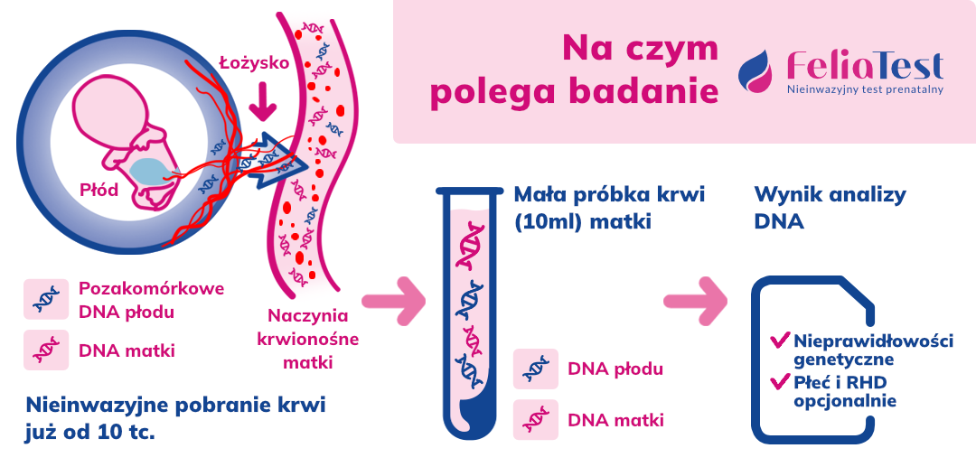 na czym polega feliatest